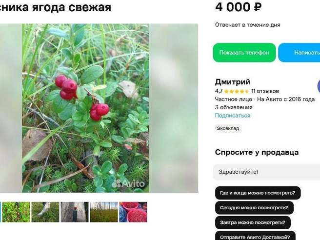 Обратите внимание: цена указана за 10 литров ягод. Продавец продает именно столько сразу, собирает на заказ | Источник: сайт бесплатных объявлений