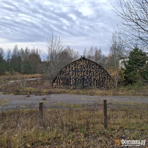 Источник: Ирина Багликова / «Фонтанка.ру»