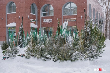 Источник: Тимофей Калмаков / 59.RU