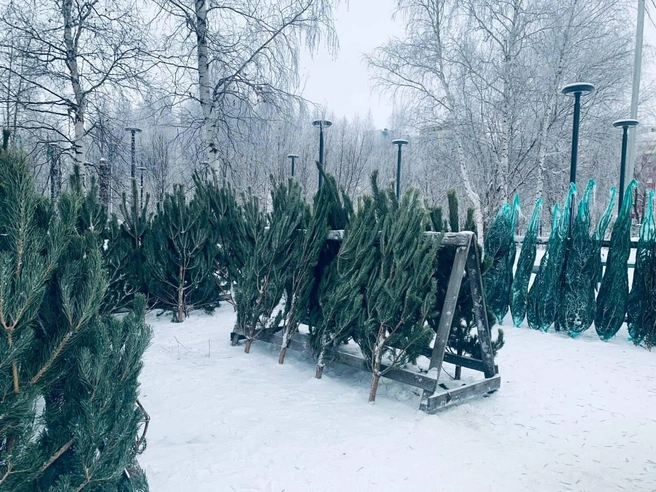 Источник: администрация Нижневартовска