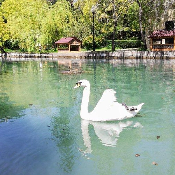 Источник: tripadvisor.ru