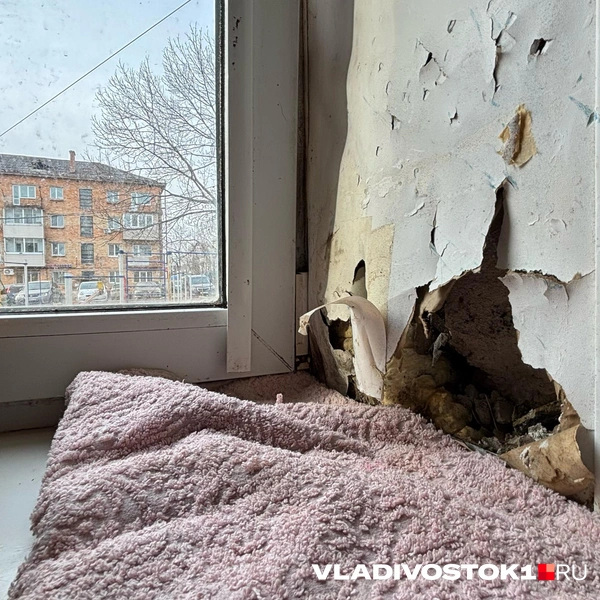 Источник: Елена Буйвол / VLADIVOSTOK1.RU