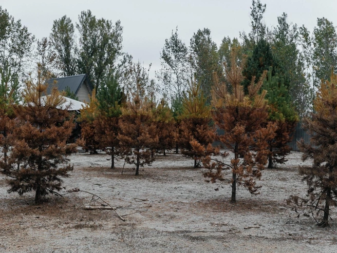 База отдыха проработала несколько сезонов  | Источник: Ирина Шарова / 72.RU