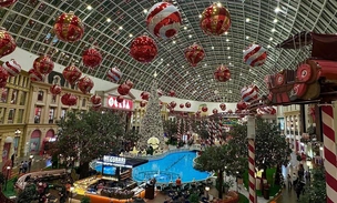 «Остров мечты» к празднику готов: 450 новогодних елок, парящие шары и волшебные инсталляции