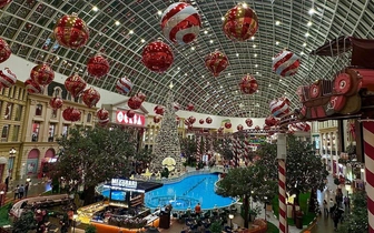 «Остров мечты» к празднику готов: 450 новогодних елок, парящие шары и волшебные инсталляции