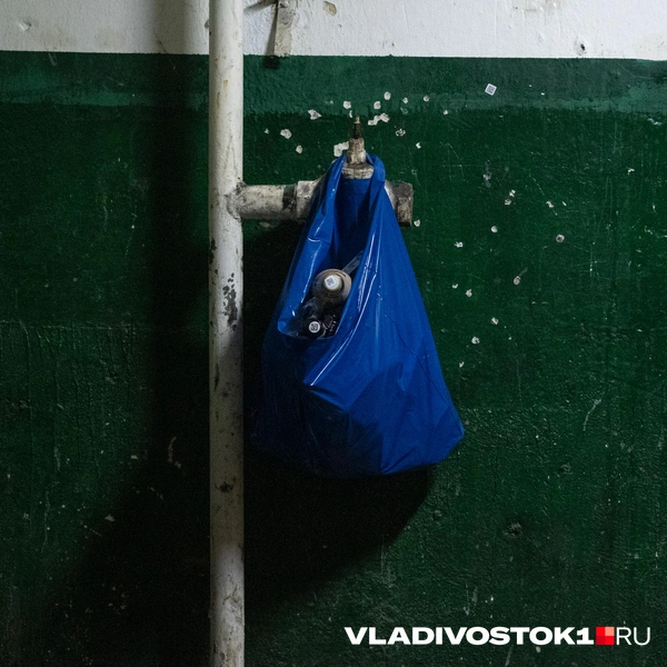 Источник: Елена Буйвол / VLADIVOSTOK1.RU