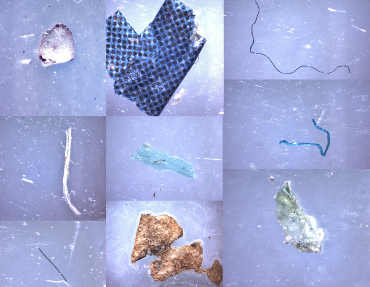 В Онежском озере нашли вдвое больше микропластика, чем в Балтийском море