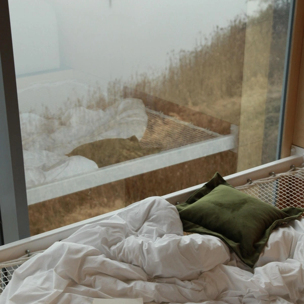 Зимние удовольствия: что носим, чем радуем себя и как создаем праздничное настроение Зимние удовольствия: что носим, чем радуем себя и как создаем праздничное настроение