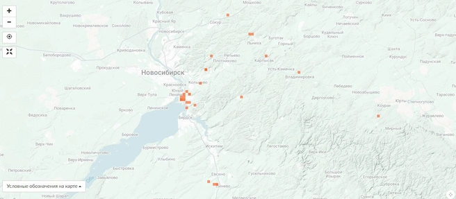 Чага — не редкая находка в Сибири | Источник: inaturalist.org
