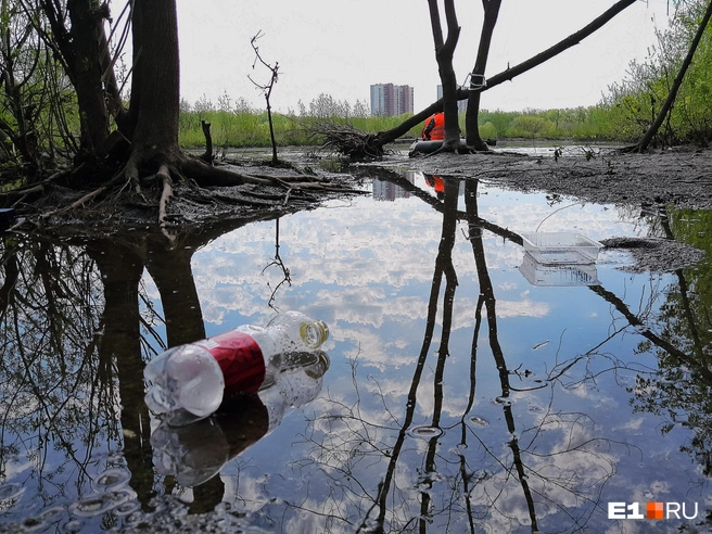 К сожалению, люди забывают, что многие водоемы используются как источник питьевой воды | Источник: Роман Марьяненко / E1.RU