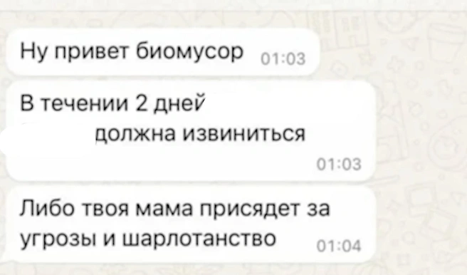 Такие сообщения рассылали злоумышленники знакомым семьи | Источник: Истории без сахара. Погребижская / YouTube.com