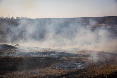 В Алтайском крае растет число ландшафтных пожаров