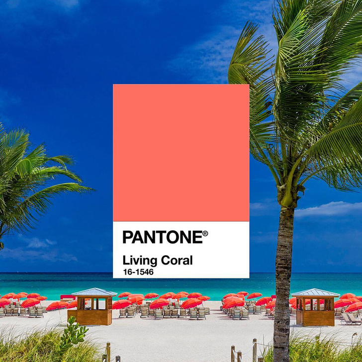 Живой коралл: цвет 2019 года по Pantone