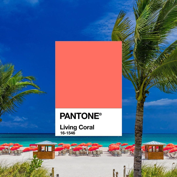 Живой коралл: цвет 2019 года по Pantone | mydecor.ru