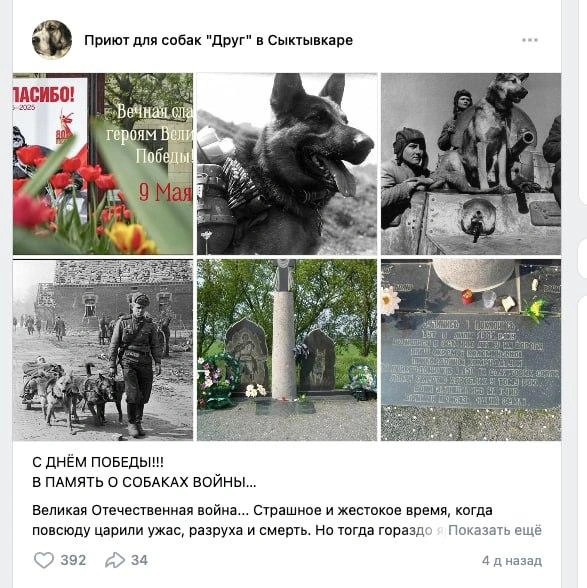 Источник: ВКонтакте