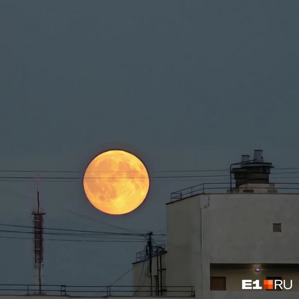 Источник: читатель E1.RU