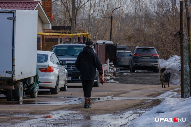 Возвращаются после прогулки | Источник: Булат Салихов / UFA1.RU