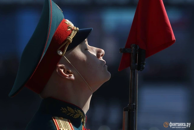 Источник: Дарья Драй / «Фонтанка.ру»