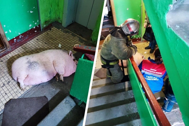 Фото с места пожара&nbsp;— тогда Милу вытащили на лестничную площадку, чтобы откачать | Источник: Евгений Биричевский