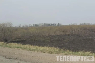 95 лесных пожаров: 630 тысяч гектаров в Приамурье