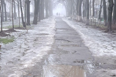 Аллея у районной администрации в Ростове стала опасной из-за ям