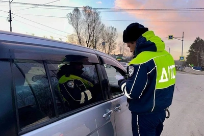 Фальшивые права обошлись сахалинцу в 8 месяцев ограничения свободы