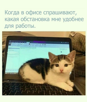 Смешные мемы про работу на удаленке и в офисе