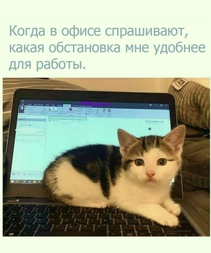 Смешные мемы про работу на удаленке и в офисе