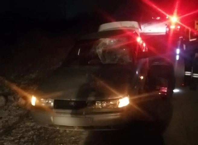 В Скопинском районе пешеход попал под два автомобиля и погиб | ya62.ru