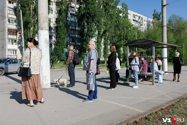Кто-то едет на учебу, кто-то&nbsp;— на работу, кто-то&nbsp;— на рынок | Источник: Алексей Волхонский / V1.RU