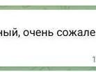 Источник: Новости Ростова | 161.RU / Telegram.org