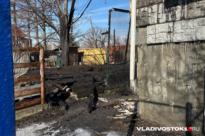 Источник: Елена Буйвол / VLADIVOSTOK1.RU