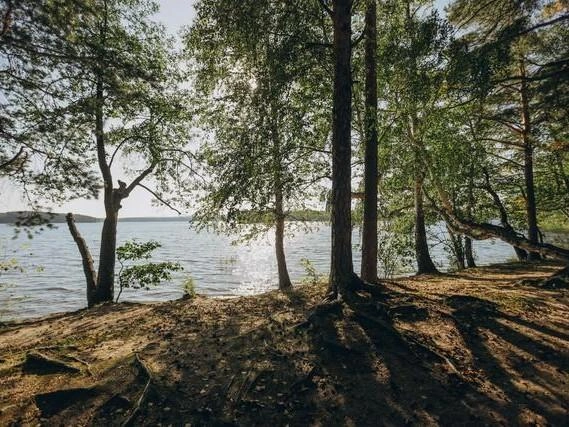 Источник: экокурорт «ЗОРИ»