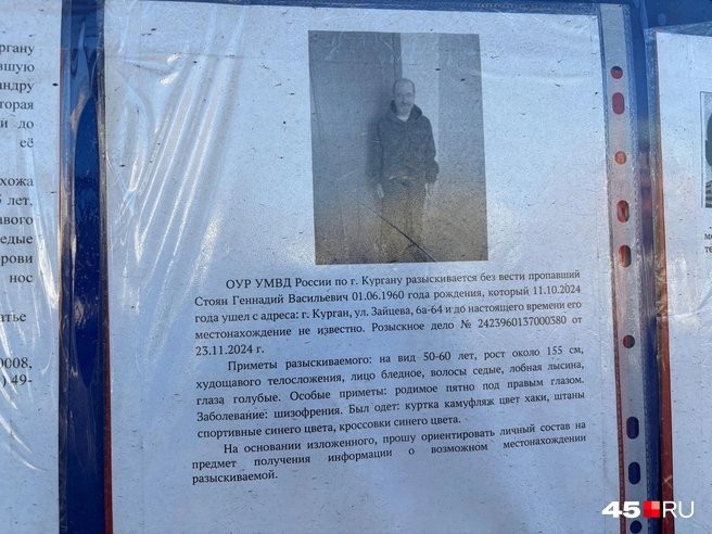 Источник: Кирилл Митин