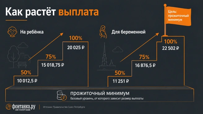 Источник: Инфографика, «Фонтанка.ру»