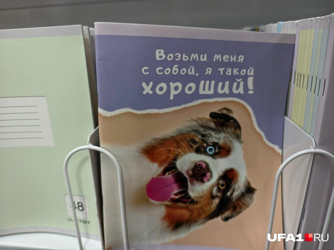 Какой хороший мальчик за 62 рубля | Источник: Булат Салихов / UFA1.RU