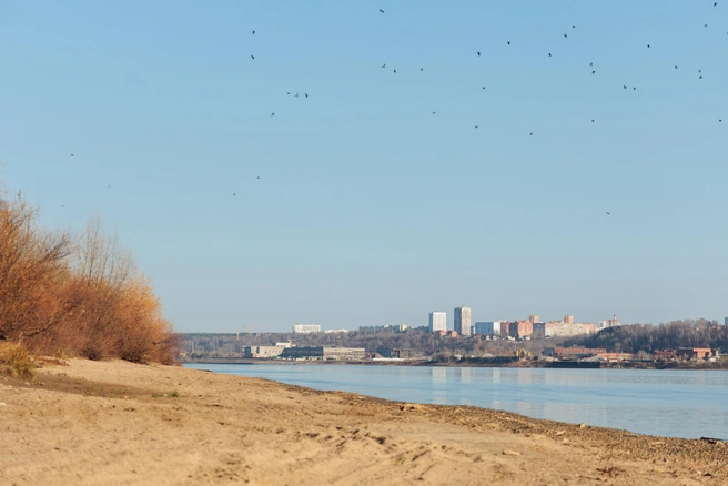 Одна из самых ценных локаций — это пляж | Источник: «Курья Park»