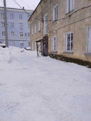 В компании предоставили фото очищенного двора | Источник: предоставлено ЖЭУ № 9
