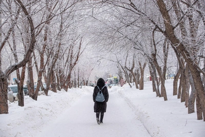 Predict Spring Weather with February Folk Signs