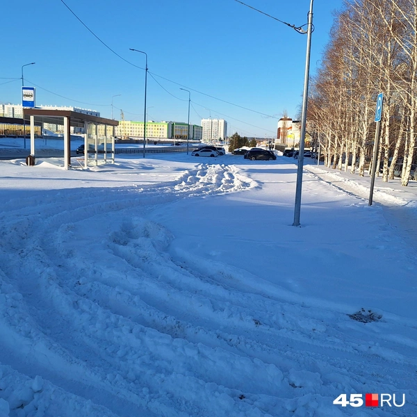 Пешеходная тропа на тротуаре Первомайского проспекта хоть и не широкая, но пройти можно | Источник: Александр Лисихин / 45.RU