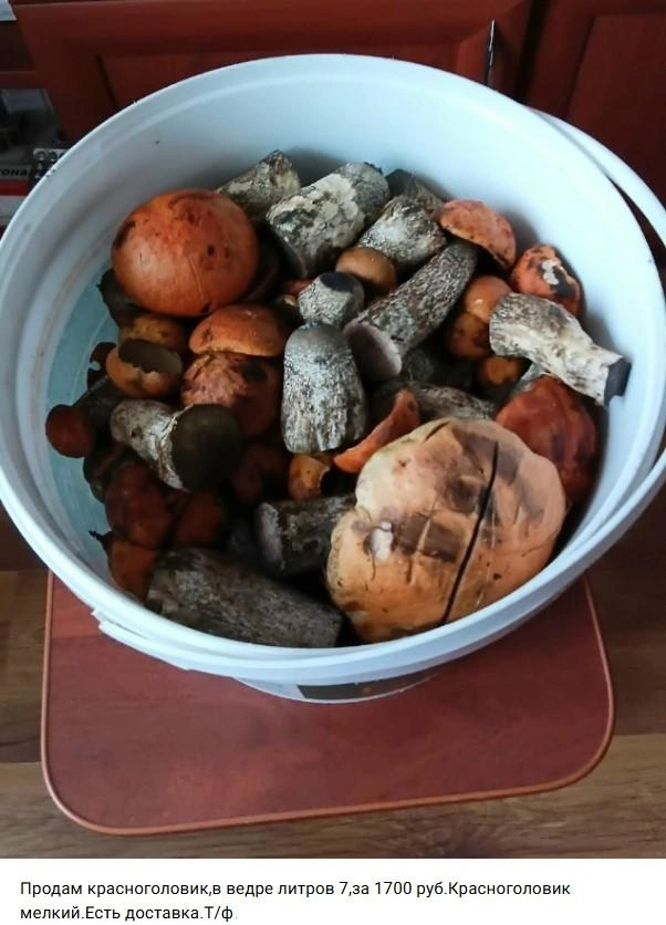 Источник: Мой Рынок (Продам Куплю Отдам) / Vk.com