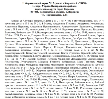Источник: избирательная комиссия Воронежской области / Voronezh.izbirkom.ru