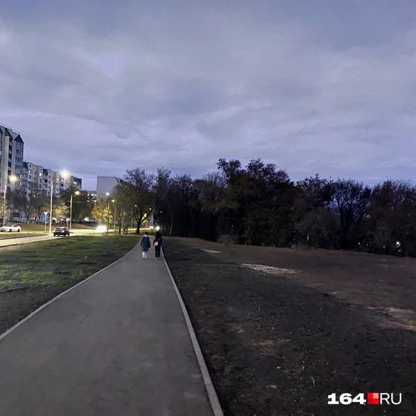 Источник: Сергей Гендин / 164.RU