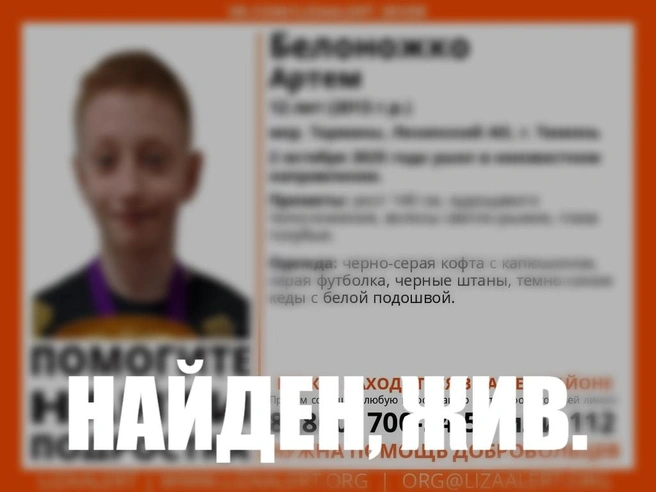 Мальчик пропал вчера. Его нашли 3 октября | Источник: Поисковый отряд «ЛизаАлерт» Тюменской области / Vk.com