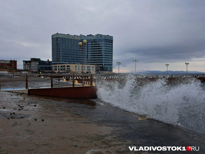 Угрозы нет | Источник: Алиса Князева / VLADIVOSTOK.1RU