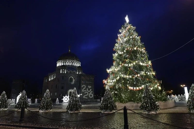 Кронштадтская ёлка победила во всероссийском конкурсе