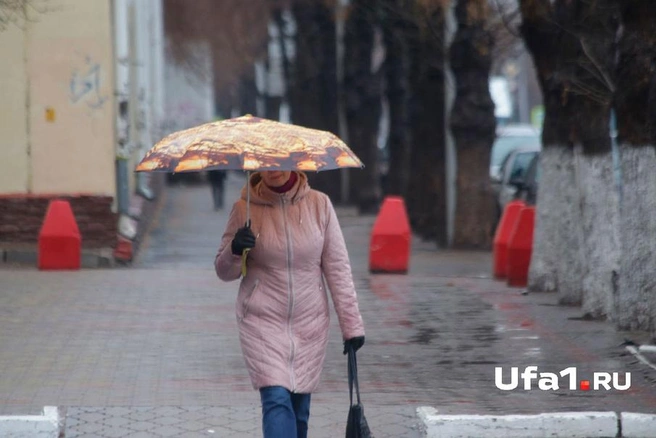 Рассчитывать на ясную погоду уфимцам пока не стоит | ufa1.ru