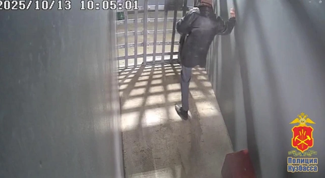 Мотоцикл минеткасы Әйелімнің үлкен кеудесінің суреті