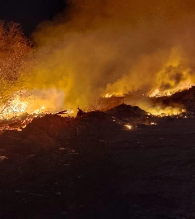 Горели остатки деревьев, которые остались после вырубки | Источник: «Окологород» / vk.com, Центр ГО, ПБ и ЧС