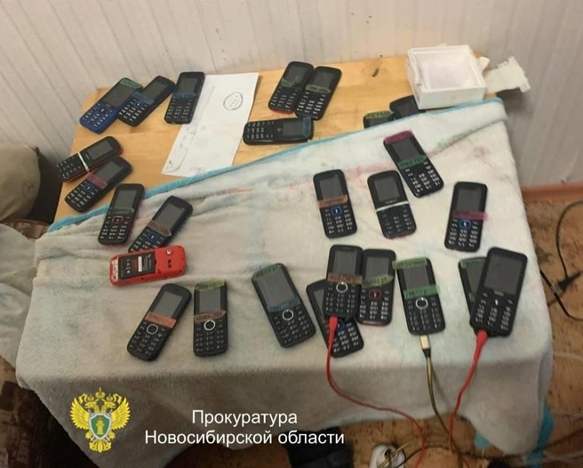 Сибирякам назначили наказание в виде лишения свободы на срок от 4 до 7 лет в колонии общего режима | Источник: прокуратура Новосибирской области